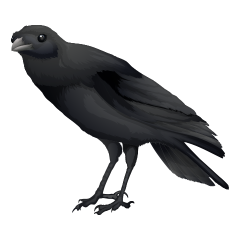 А4 дахь зургийг идэвхжүүлээрэй.