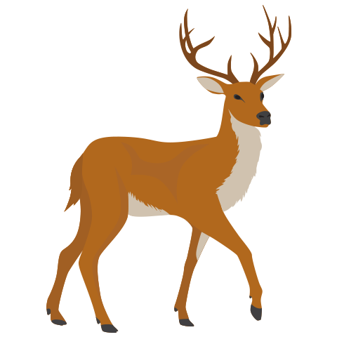 А2 дахь зургийг идэвхжүүлээрэй.