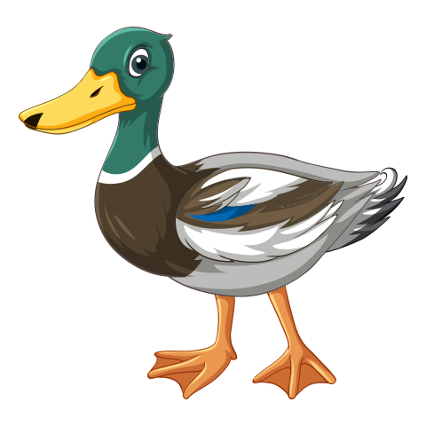 Б3 дахь зургийг идэвхжүүлээрэй.