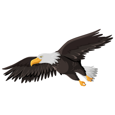 А4 дахь зургийг идэвхжүүлээрэй.