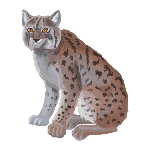 Б3 дахь зургийг идэвхжүүлээрэй.