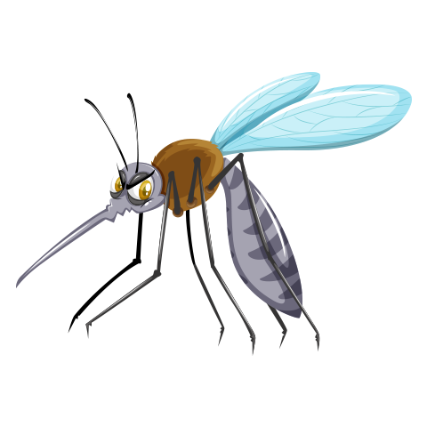 А2 дахь зургийг идэвхжүүлээрэй.