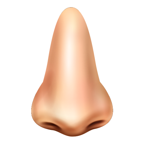 А4 дахь зургийг идэвхжүүлээрэй.